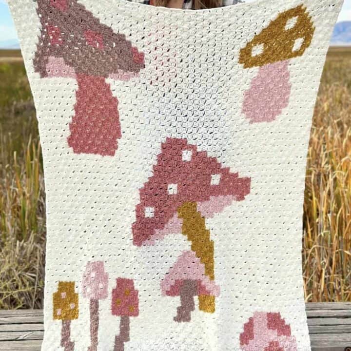 Corner to corner crochet blanket kit with mushrooms in pink and grey.