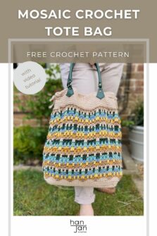 Hayden Bag - Free Mosaic Crochet Tote Bag Pattern | HanJan Crochet