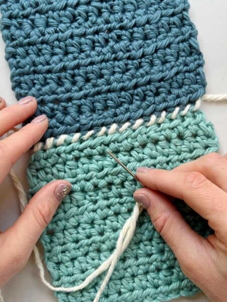 Whipstitch crochet.