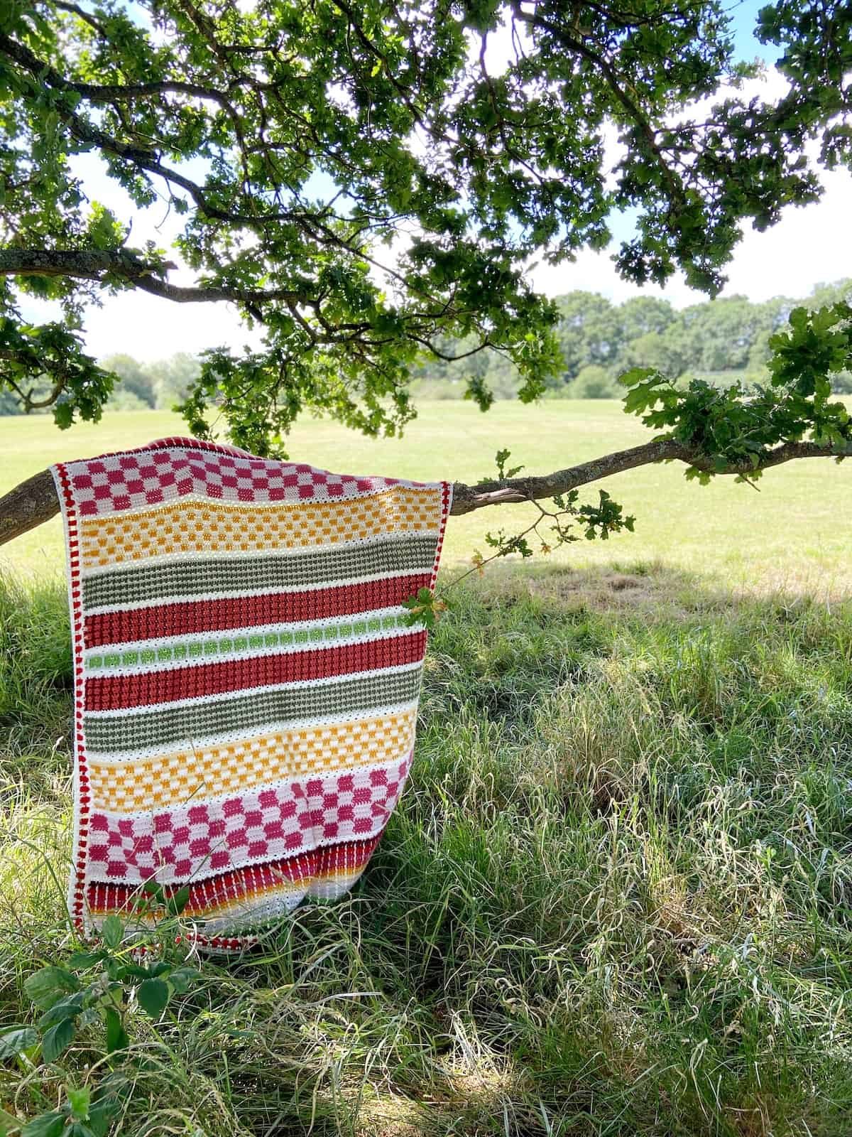 Image showing colorful multi stitch crochet blanket pattern hanging over tree branch.