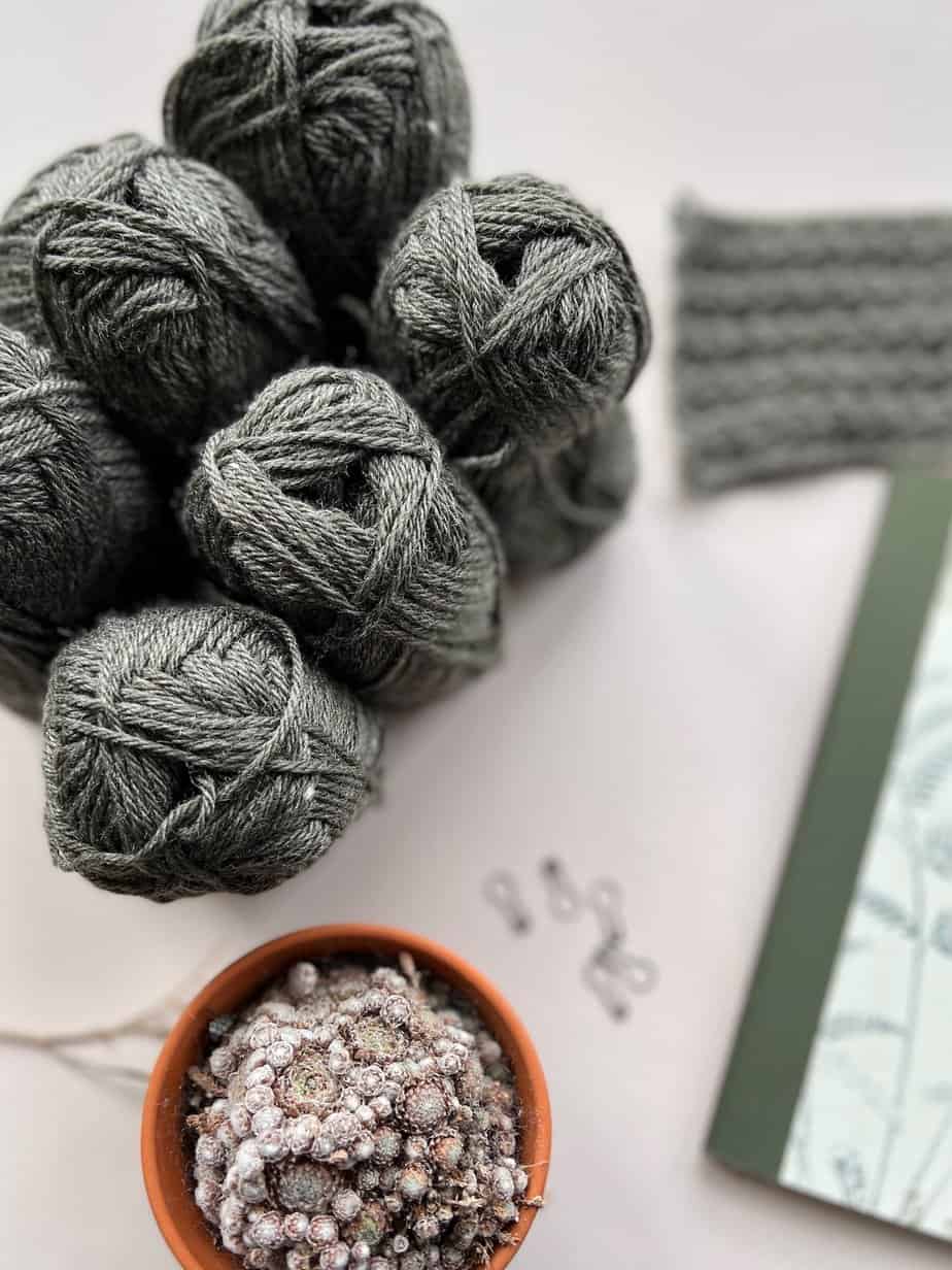 Six balls of olive green yarn with a notebook, stitch markers and plant in the background.