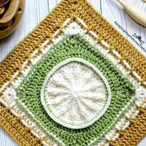 Encompass Me Afghan Block