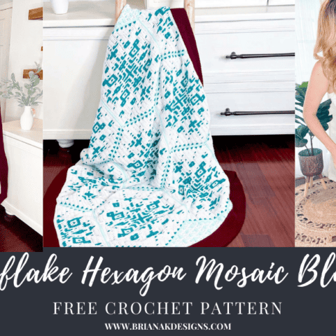 A woman is standing in front of a blanket with the text snow lake hexagon mosaic blanket free crochet pattern.