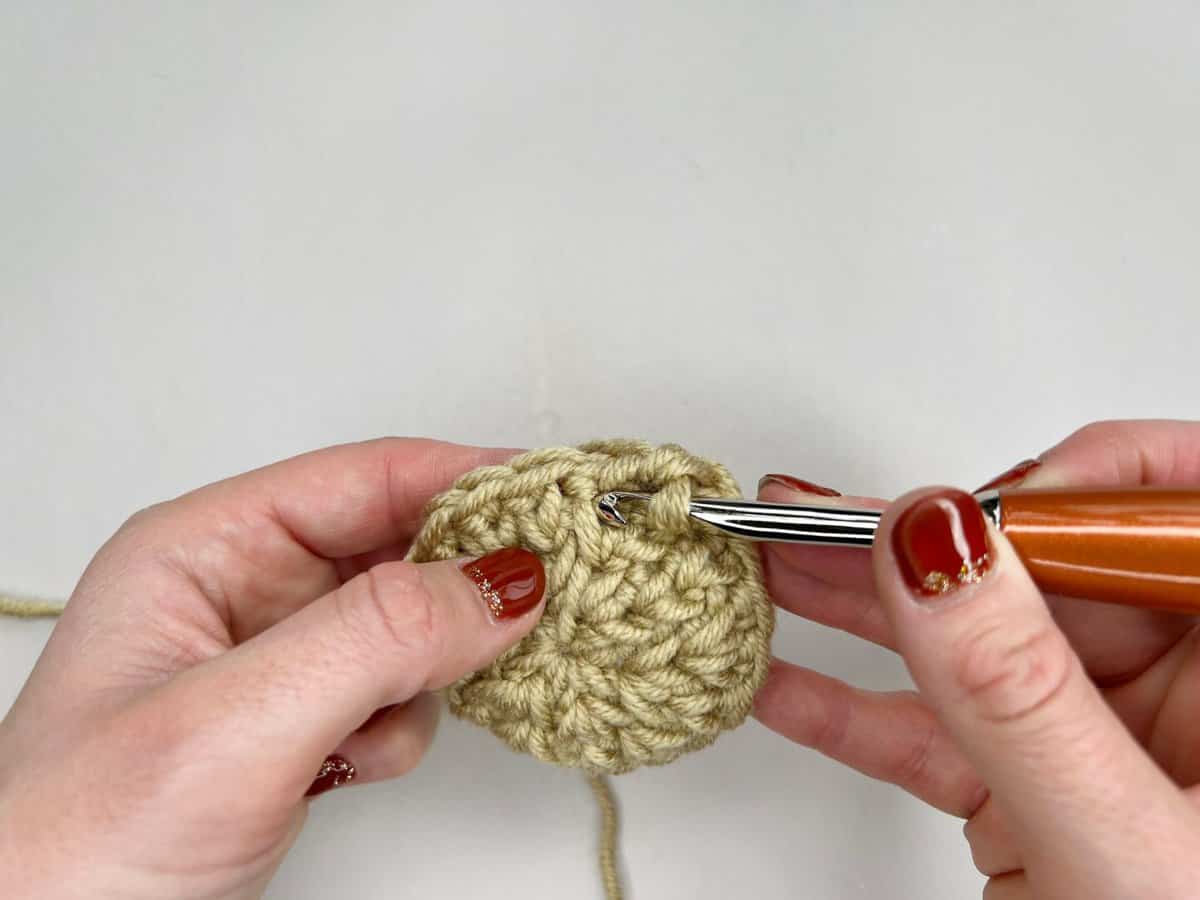 A person is using a crochet hook to make a crocheted circle using the waistcoat crochet stitch - step 1 insert hook into centre of stitch, between the legs.