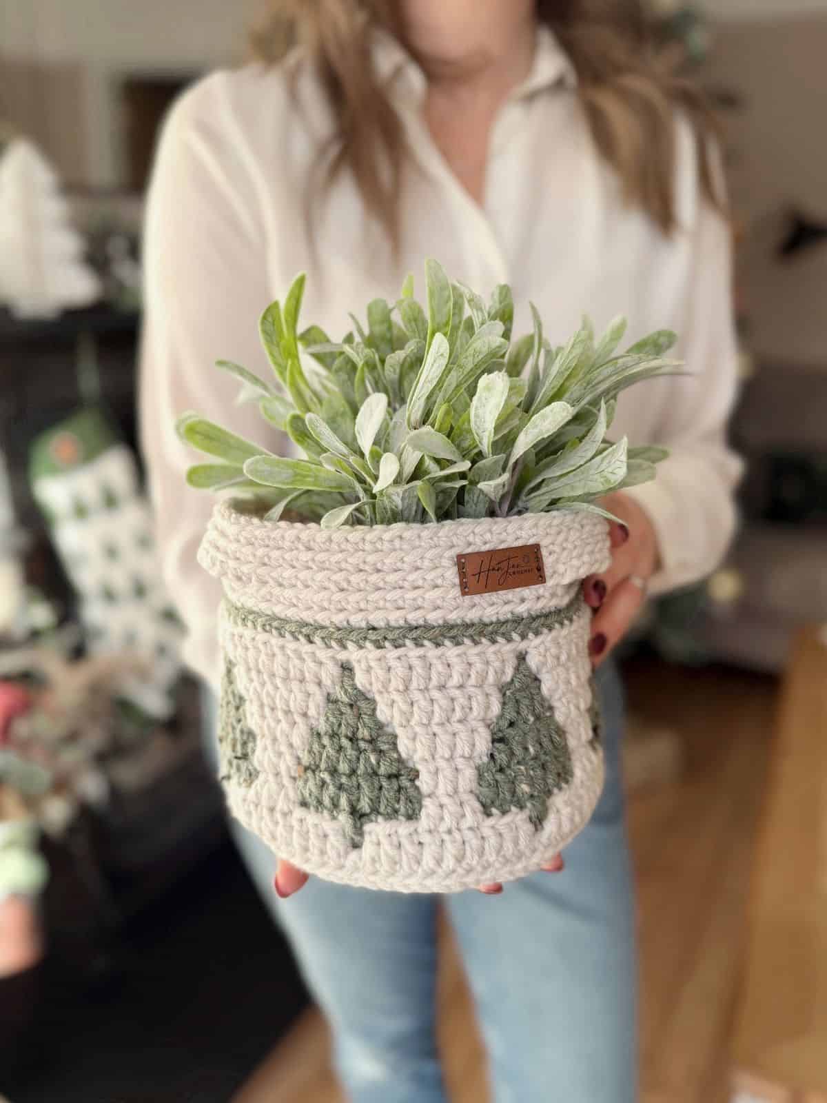 A person in a white shirt holds a christmas crochet basket with green tree patterns, containing a leafy green plant.