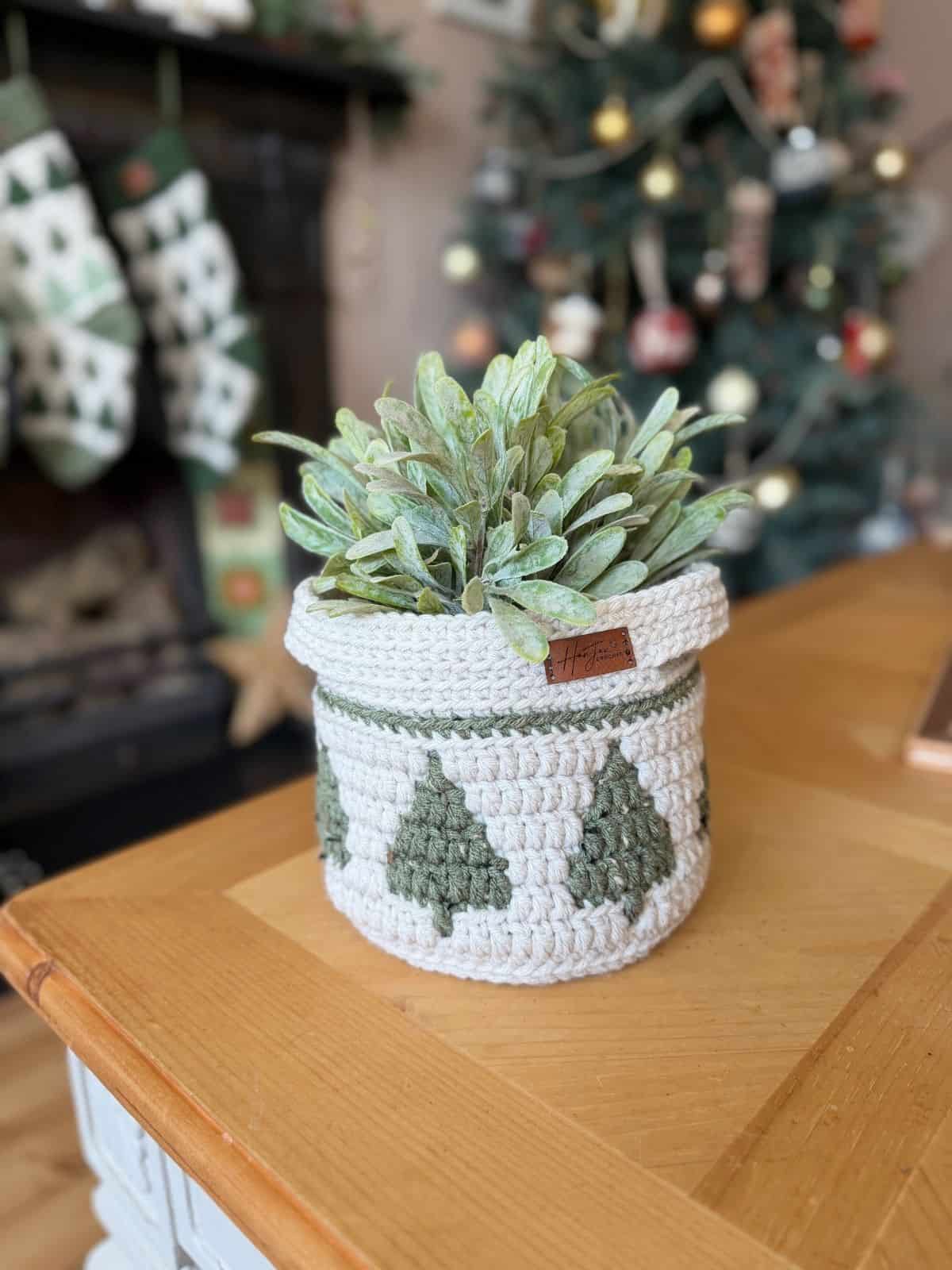 A potted green plant sits in a christmas crochet basket with green tree designs on a wooden table, with festive decorations in the background.