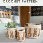 Three crocheted baskets of varying sizes, each featuring a bunny motif crafted from a crochet bunny basket pattern, are displayed on a bed next to a small potted plant.