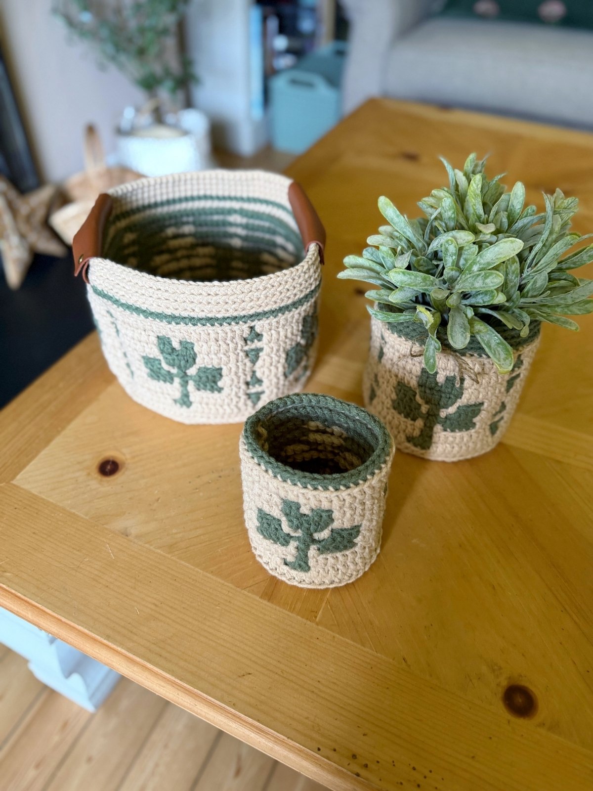 Three crocheted baskets with green shamrock designs sit on a wooden table; one basket contains an artificial green plant.