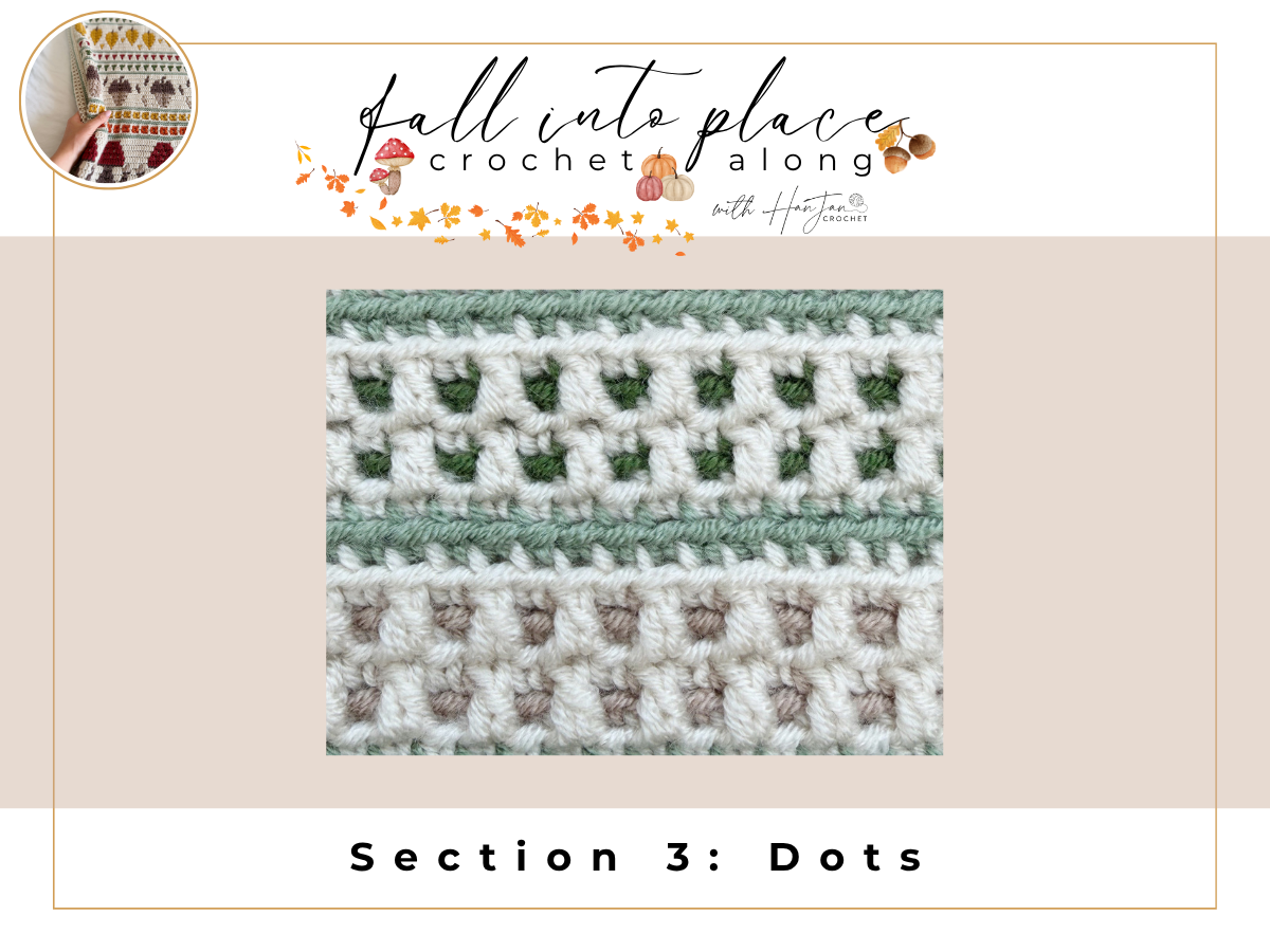 Crochet sample showing rows with rectangular open holes bordered by solid stitches. Text reads “Section 3: Dots” and “Fall Into Place Crochet Along.”.