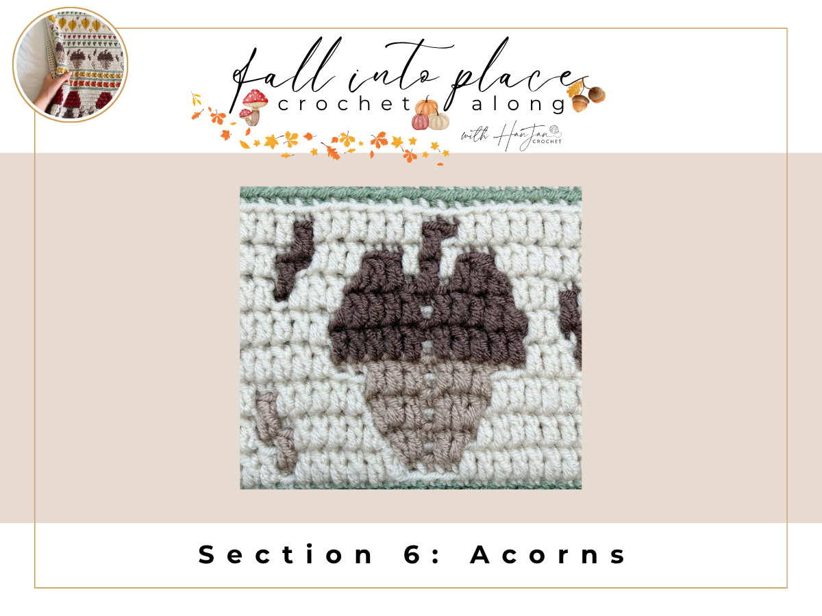 A crochet square featuring an acorn design in shades of brown and cream yarn, labeled “Section 6: Acorns” from a fall-themed crochet autumn blanket pattern.