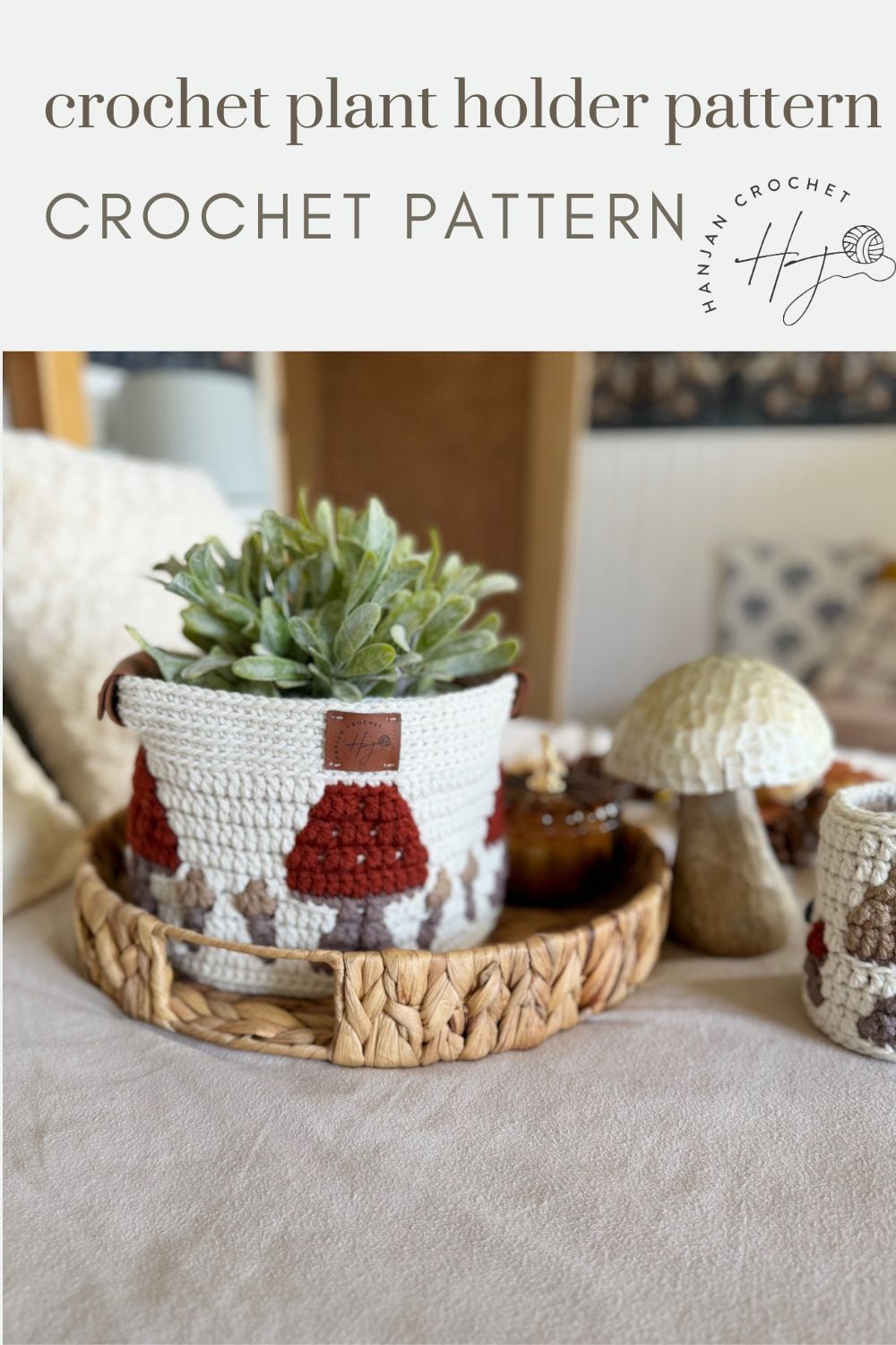 A crocheted plant holder with a geometric design, inspired by a crochet storage basket pattern, holds a succulent and sits on a woven tray next to decorative mushrooms on a table.