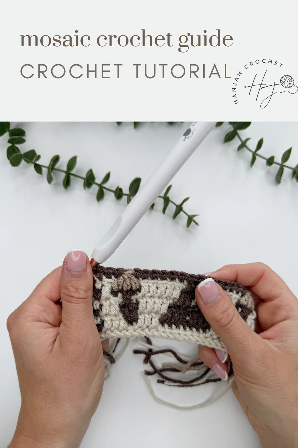 Hands hold a piece of mosaic crochet in brown and cream yarn with a crochet hook, set against a white background with green sprigs.